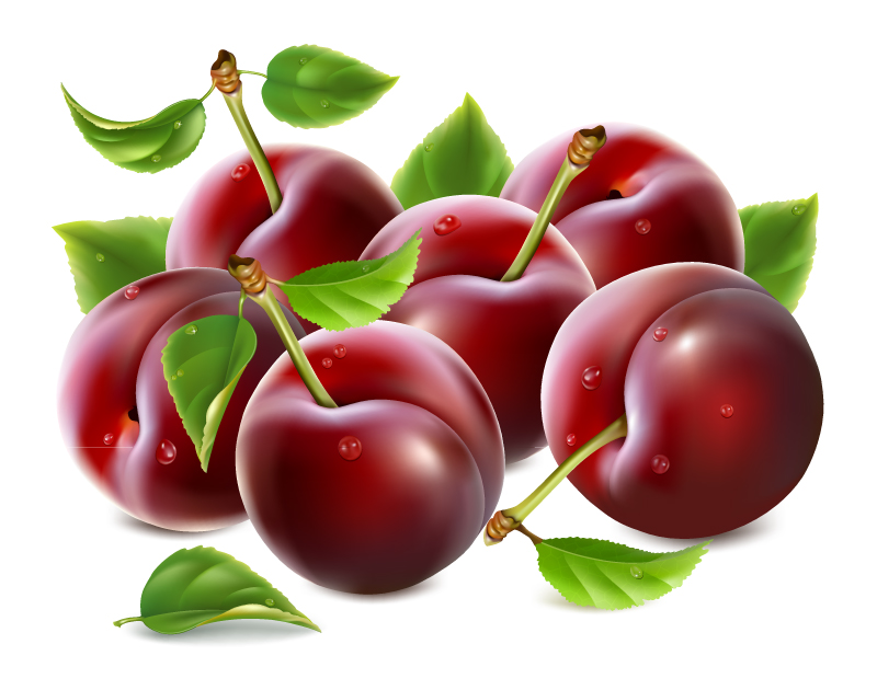 Delicious red cherry design vector material
