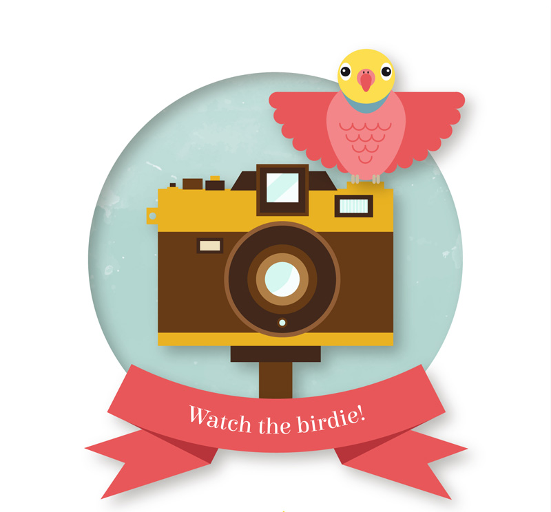 Exquisite camera and birds vector material