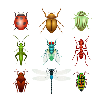 9 kinds of insect vector design material