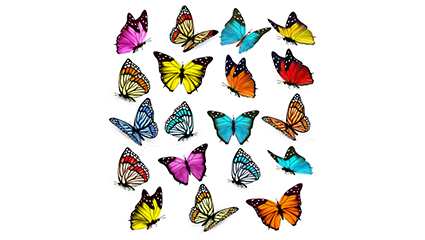 19 models of color butterfly vector material