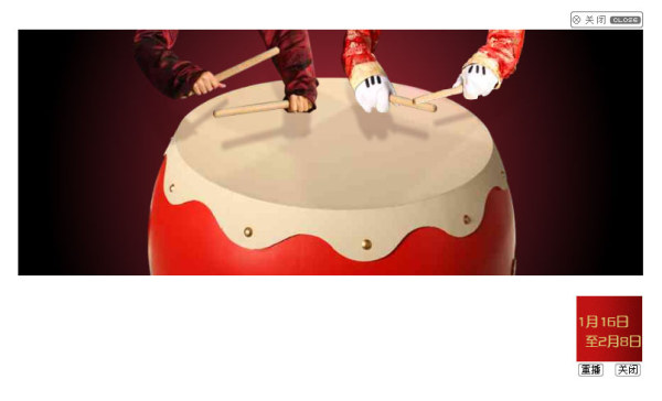 To turn off the replay of the Flash rich media ads