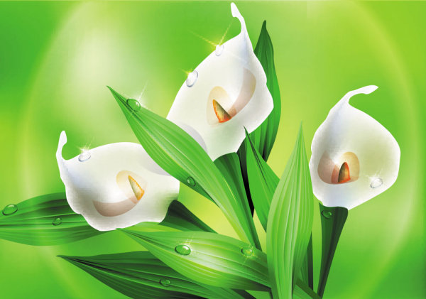 Beautiful flowers 02 - vector