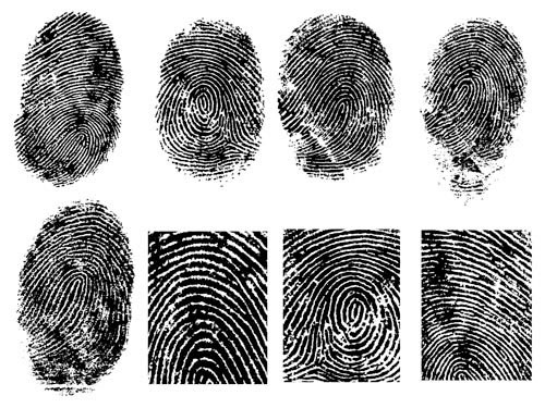 Fingerprint vector material -1