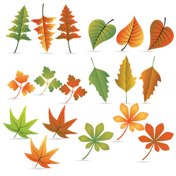 Leaves material 04 - vector material