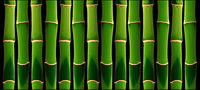 Green bamboo background of the picture material-2