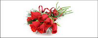 A bouquet of red roses picture material