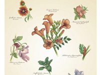 Outstanding foreign-dimensional works-05