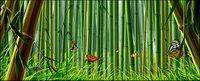 Bamboo and butterfly
