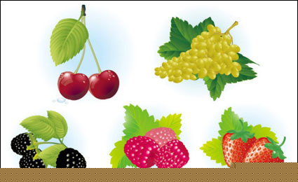 Vector Fruits		