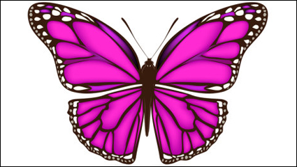 Beautiful butterfly material 02-- vector material