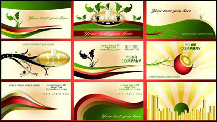 European fine pattern card design template vector material