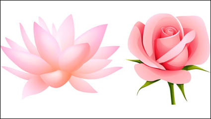 Beautiful small flowers vector material -4