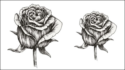 Hand-painted flowers material 05 - vector material