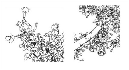 Butterfly flower, poppy, cornflowers, pear, cherry blossoms