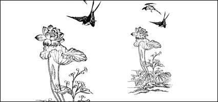 Magpie Lotus Vector